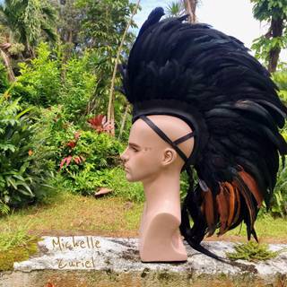 Feather mohawk wallpaper