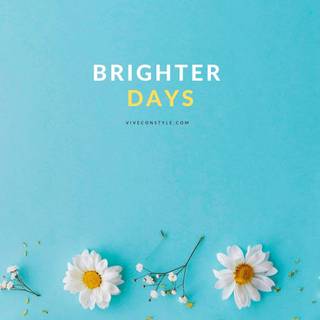 Bright phone wallpaper