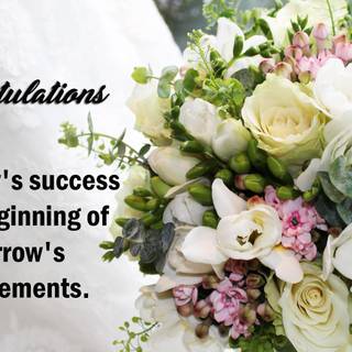 Congratulation wallpaper