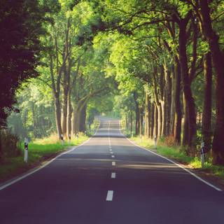 Desktop alley wallpaper