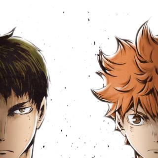 Hd Haikyuu Android wallpaper