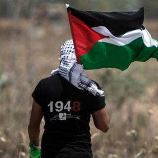 Desktop Palestine wallpaper