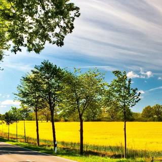 The best nature cellphone wallpaper