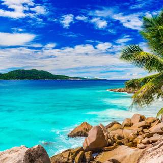 Summer nature Ultra HD wallpaper