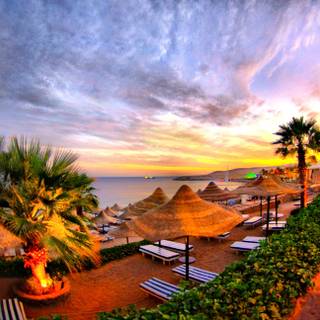 Summer nature Ultra HD wallpaper