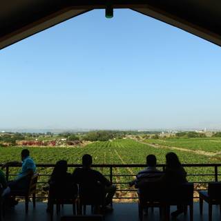 Sula Vineyards wallpaper