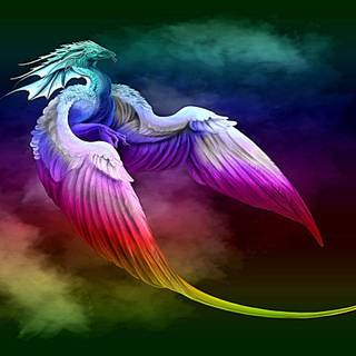 Dragon beauty wallpaper