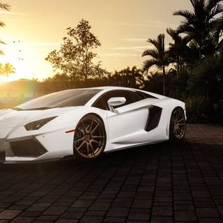 Lamborghini white wallpaper