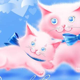 Valentine's Day cat wallpaper