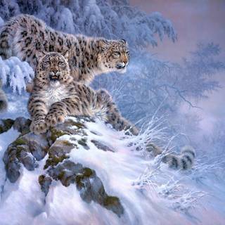 Woman and snow leopard wallpaper