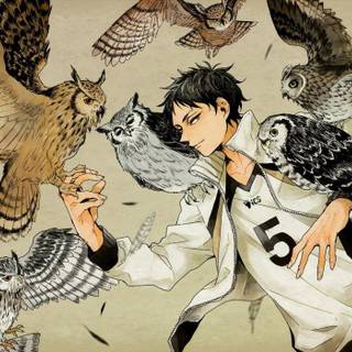 Fukurodani wallpaper