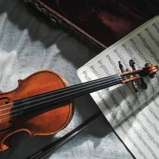 Violin player wallpaper
