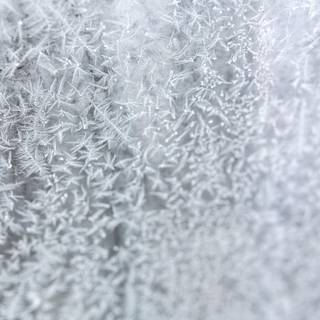Snowcrystal macro wallpaper