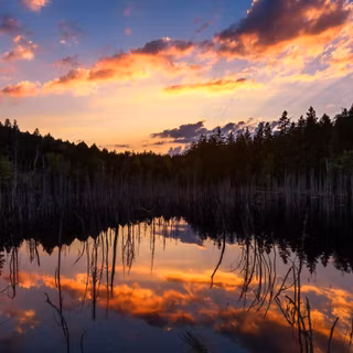 Evening glow wallpaper