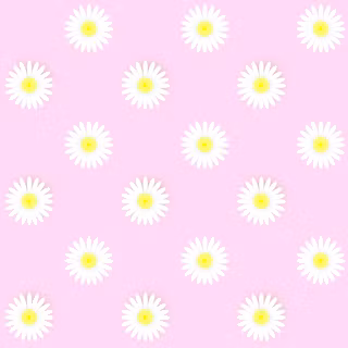 Cute daisy wallpaper