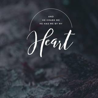 Single life wallpaper