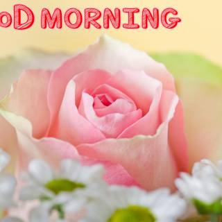 Good morning beautiful wallpaper