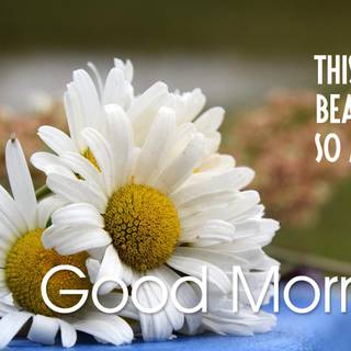 Good morning beautiful wallpaper