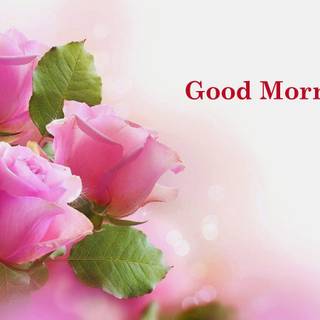 Good morning beautiful wallpaper