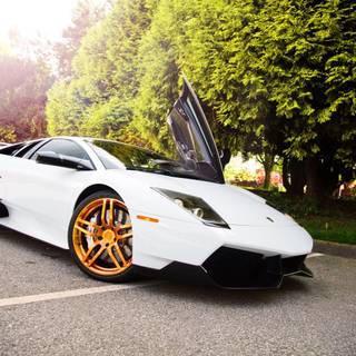 Black and gold cars wallpaper