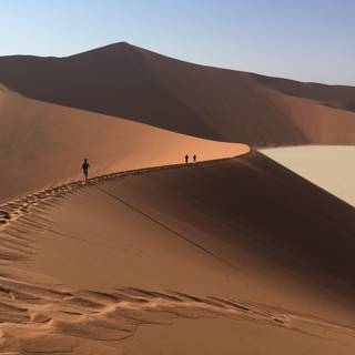 Desert dunes walking wallpaper