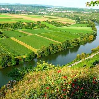 Agriculture desktop wallpaper