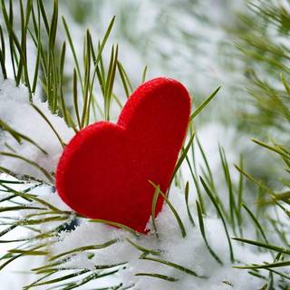 Valentine trees wallpaper