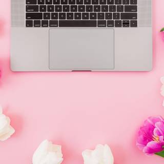 Gentle Bloom wallpaper