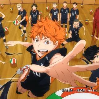 Best anime Haikyuu wallpaper