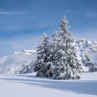 Winter Dolomites wallpaper