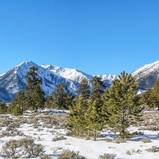 Rocky Mountain National Park winter wallpaper