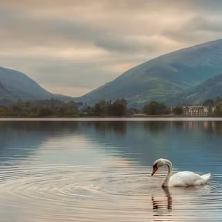 Jio phone natural wallpaper