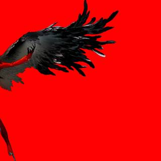 Persona 5 Joker computer wallpaper