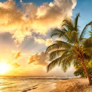 Tropical beach sunset wallpaper