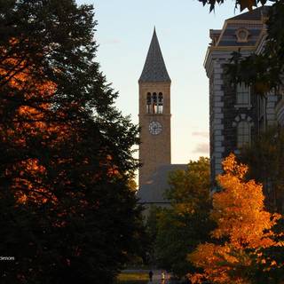 Cornell University wallpaper