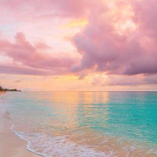 Beach vibes wallpaper