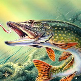 Bass fishing background HD