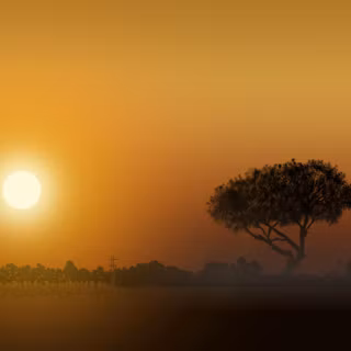 Fog sunset wallpaper