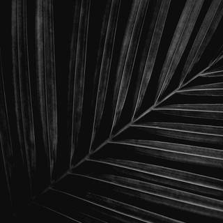 Dark for iPhone wallpaper