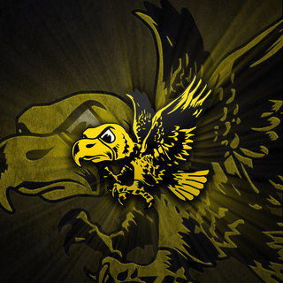 Iowa Hawkeye Android wallpaper