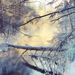 Morning winter lake wallpaper