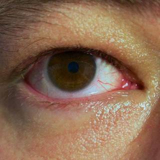 Bloodshot eyes wallpaper