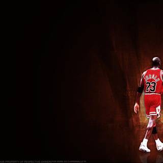 Kobe and Jordan computer wallpaper