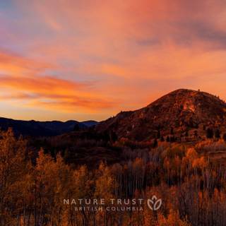 Landscapes wallpaper