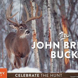 The Jordan Buck wallpaper