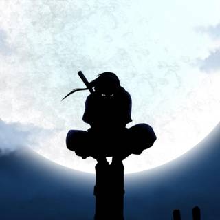 Wallpapers ninja
