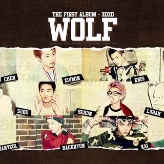 XOXO EXO wallpaper
