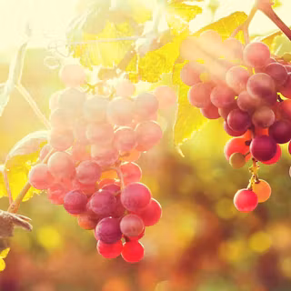 Desktop fruit wallpaper