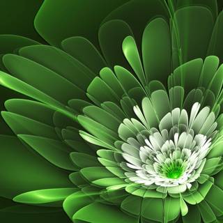 Green flowers wallpaper