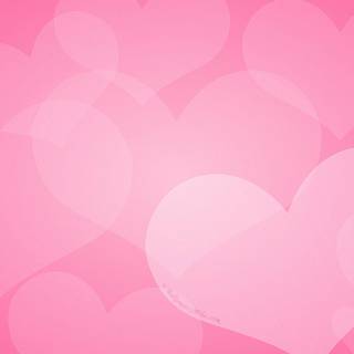 Pink Valentines Day wallpaper